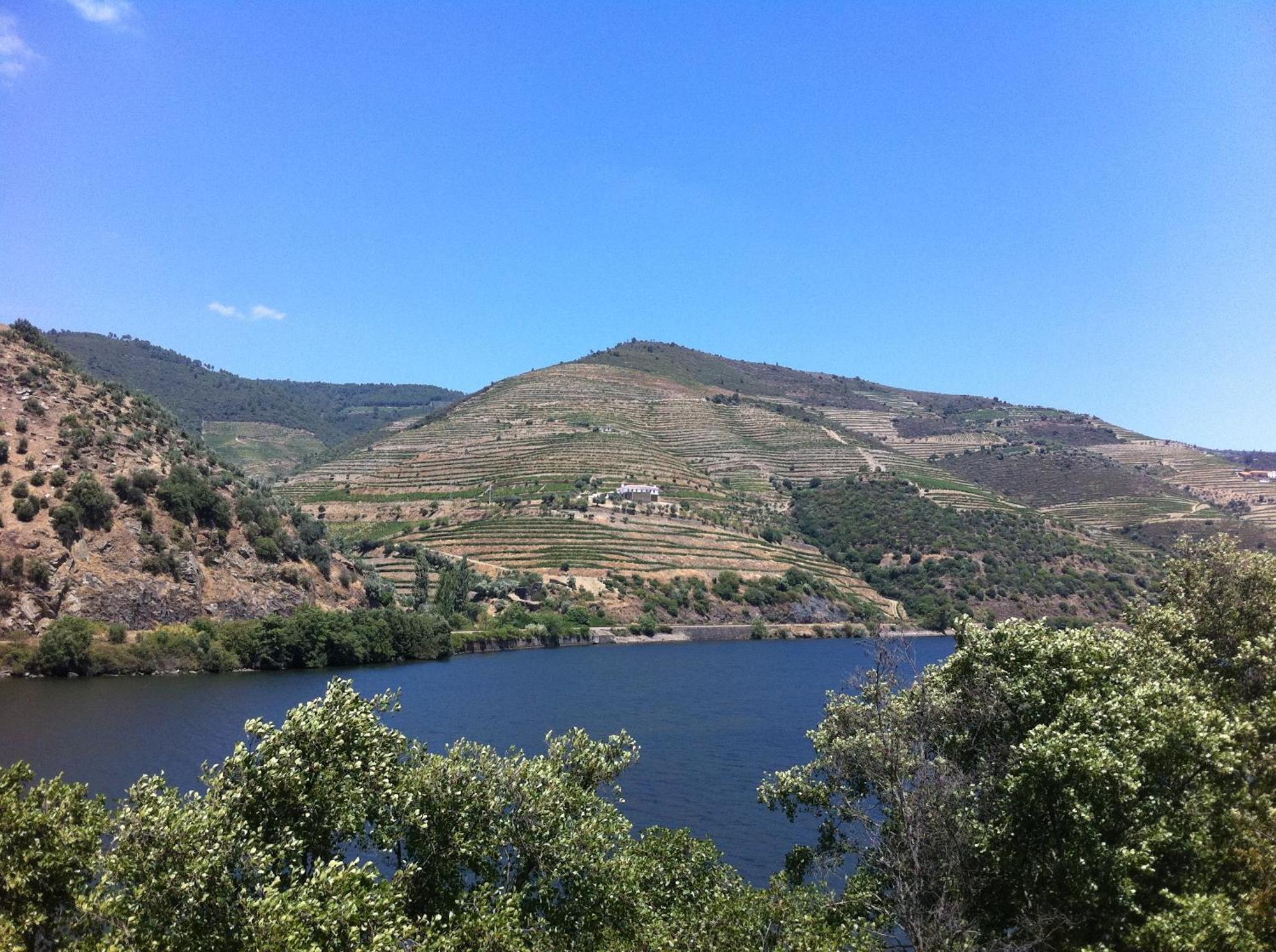 Quinta Da Marka Covas do Douro Exterior photo